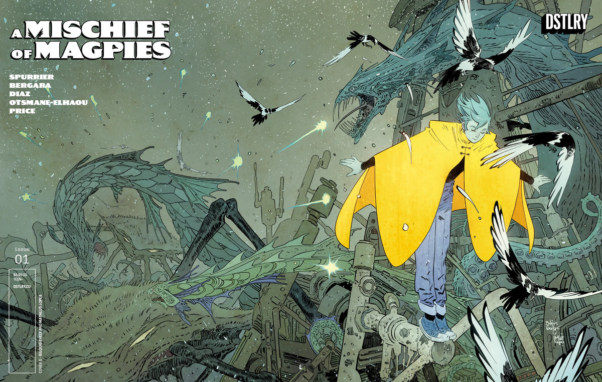 A Mischief of Magpies #1 (Cover D - Evely)